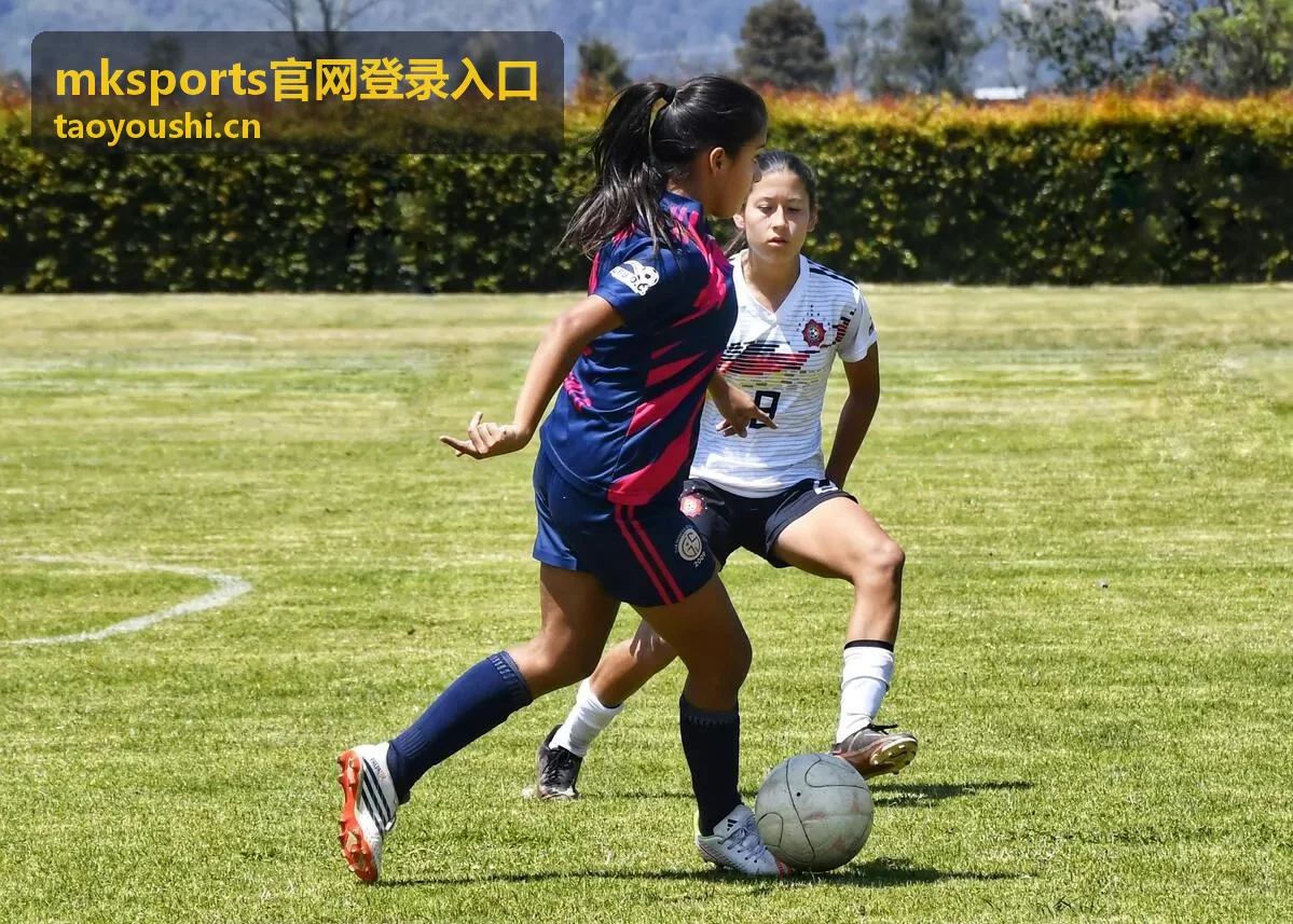 mksports官网登录入口页面展示与登录步骤示意