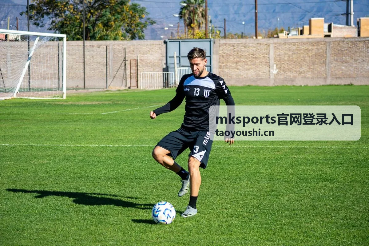 mksports官网登录入口提示信息排查示意