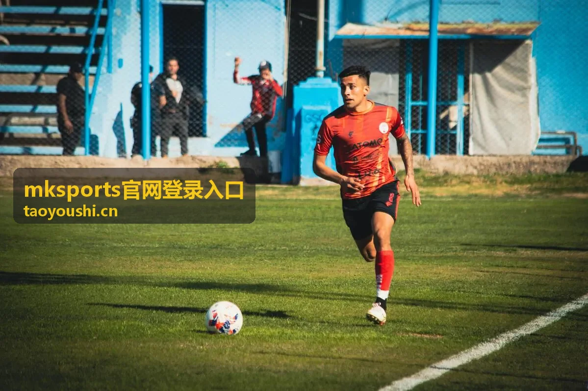 mksports官网登录入口常见提示信息对照表配图